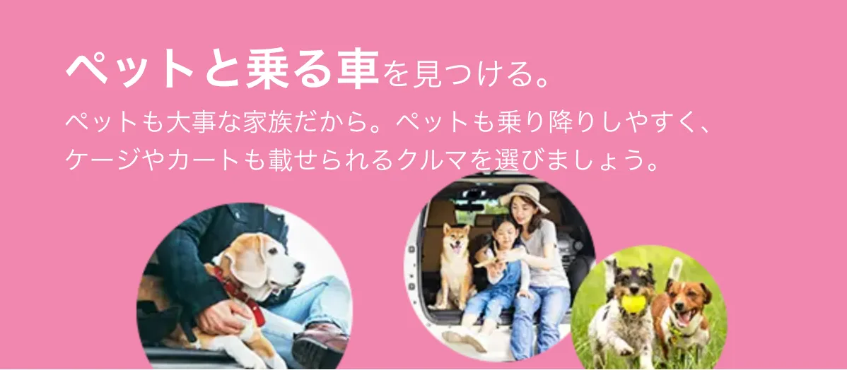 ペットと乗る車を見つける。