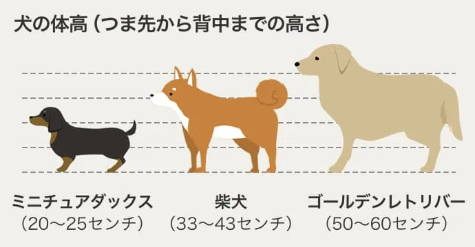 ペットとクルマに乗る時の注意点